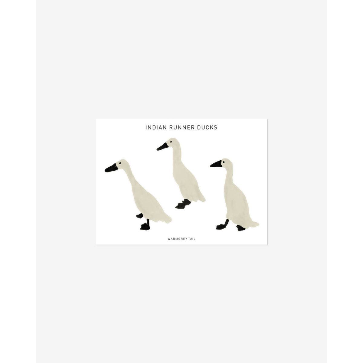INDIAN RUNNER DUCKS STICKER