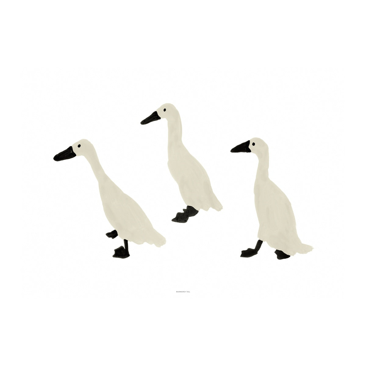 INDIAN RUNNER DUCKS POSTER
