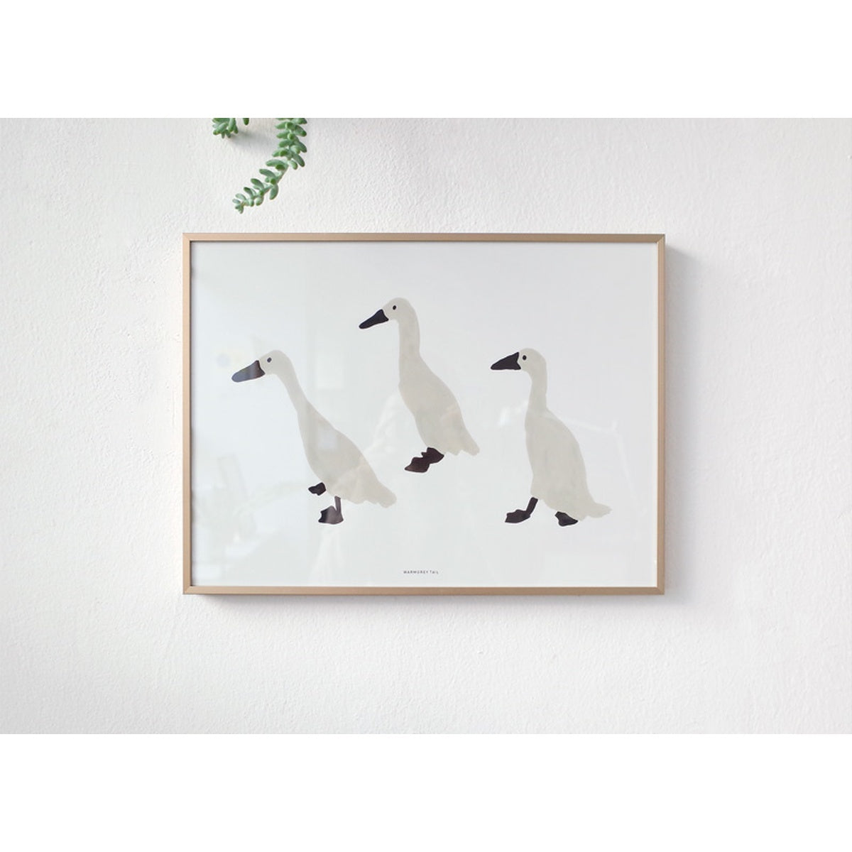 INDIAN RUNNER DUCKS POSTER