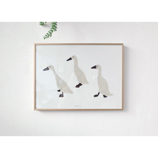 INDIAN RUNNER DUCKS POSTER