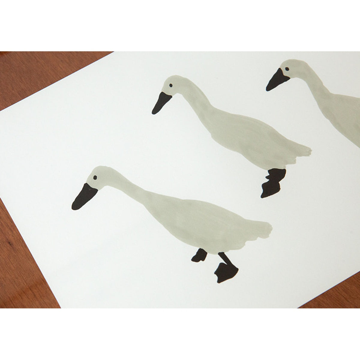INDIAN RUNNER DUCKS POSTER