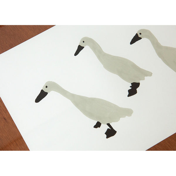 INDIAN RUNNER DUCKS POSTER