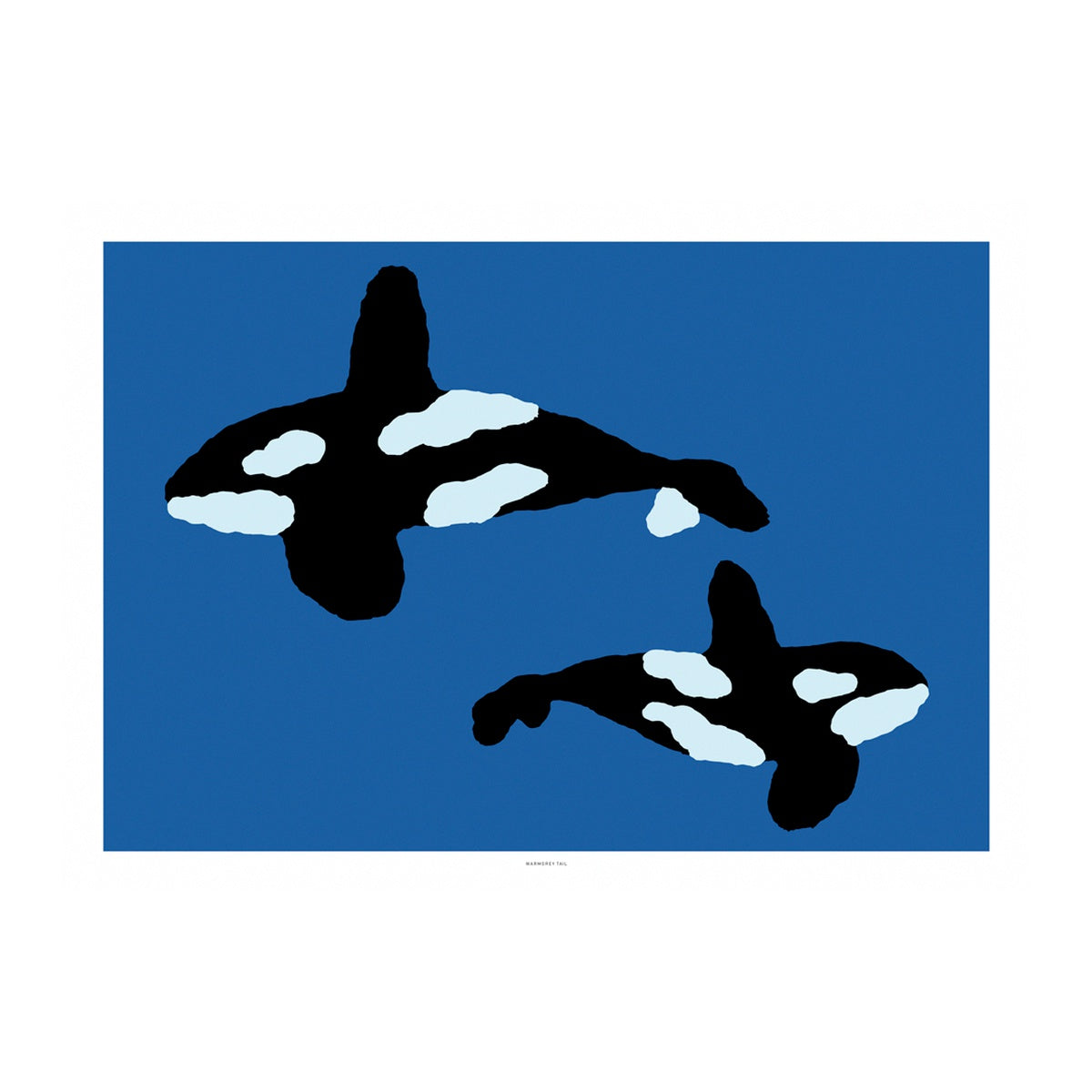 ORCA POSTER