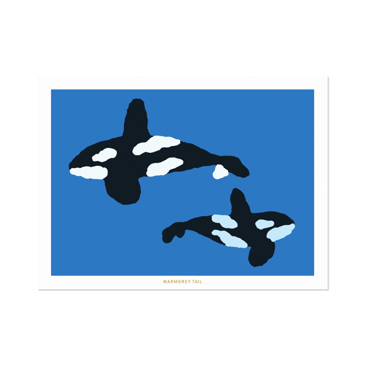 ORCA POSTCARD
