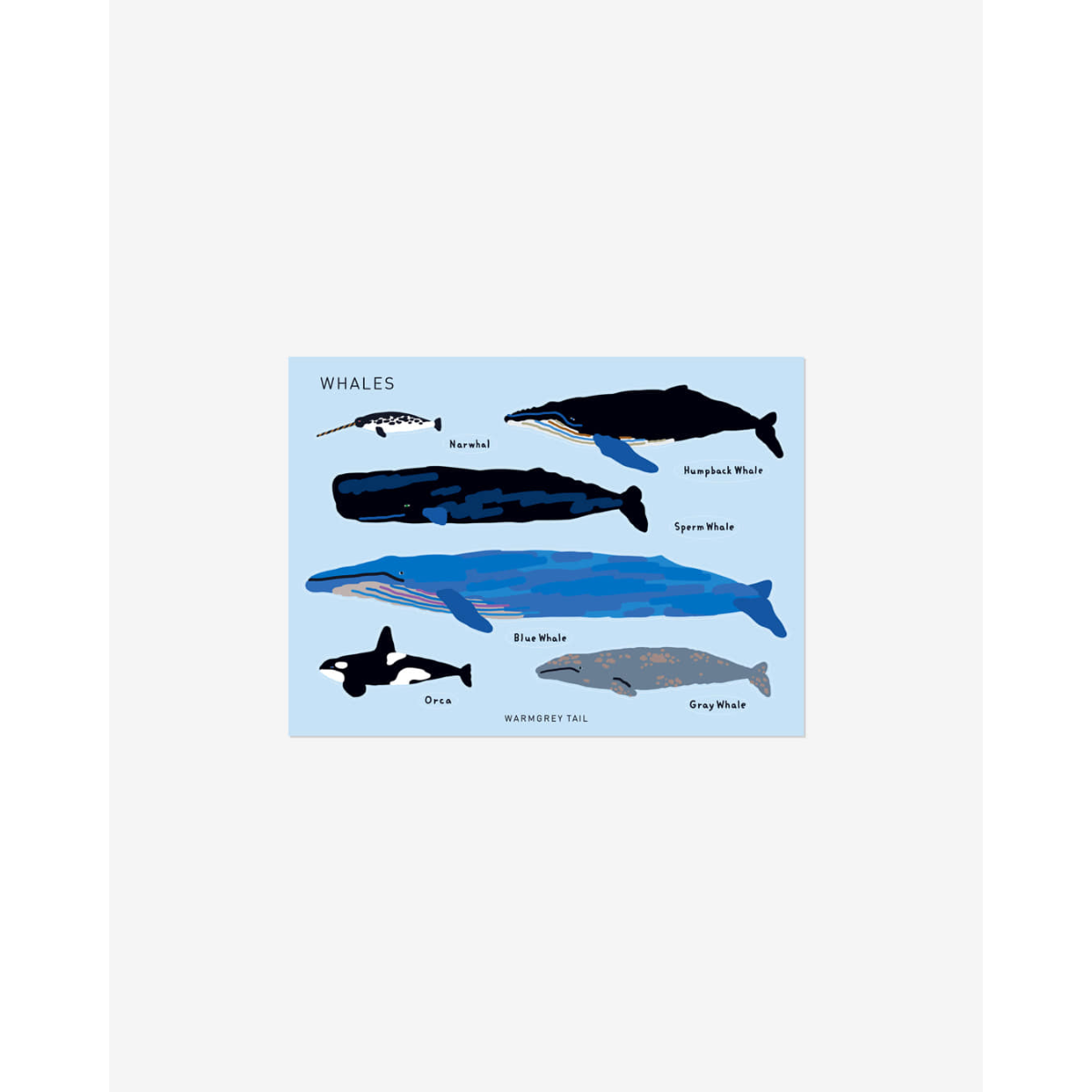 WHALES STICKER