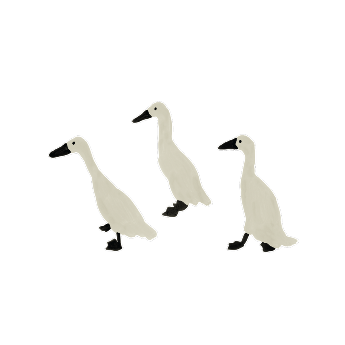 INDIAN RUNNER DUCKS STICKER
