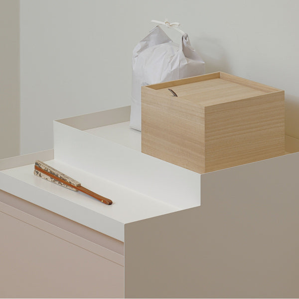 HOME CLEAN (STANDARD TYPE)