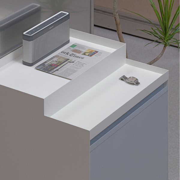 HOME CLEAN (STANDARD TYPE)
