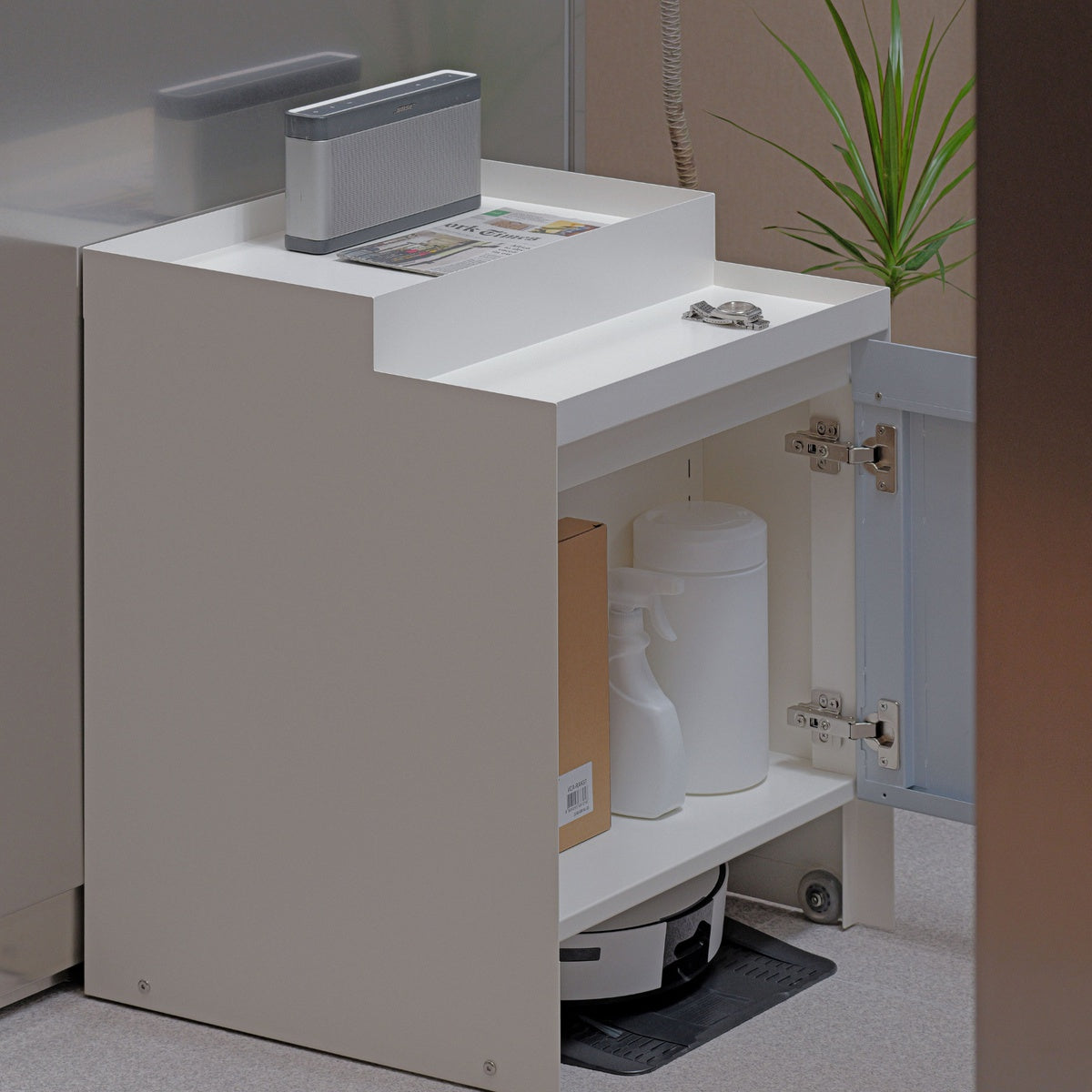 HOME CLEAN (STANDARD TYPE)