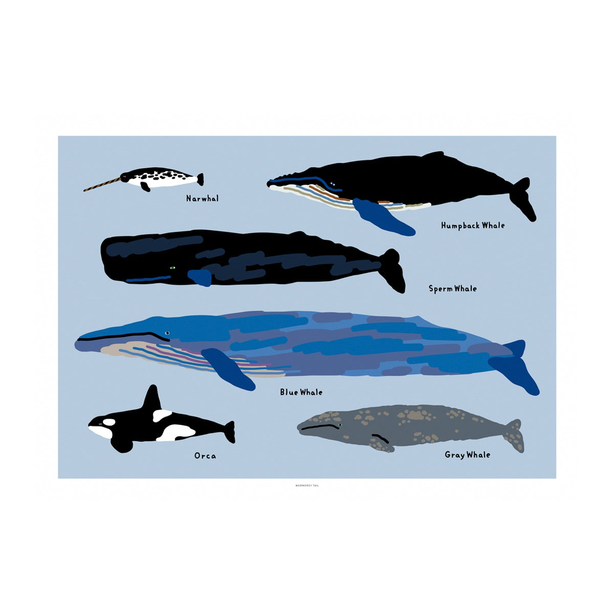 WHALES POSTER