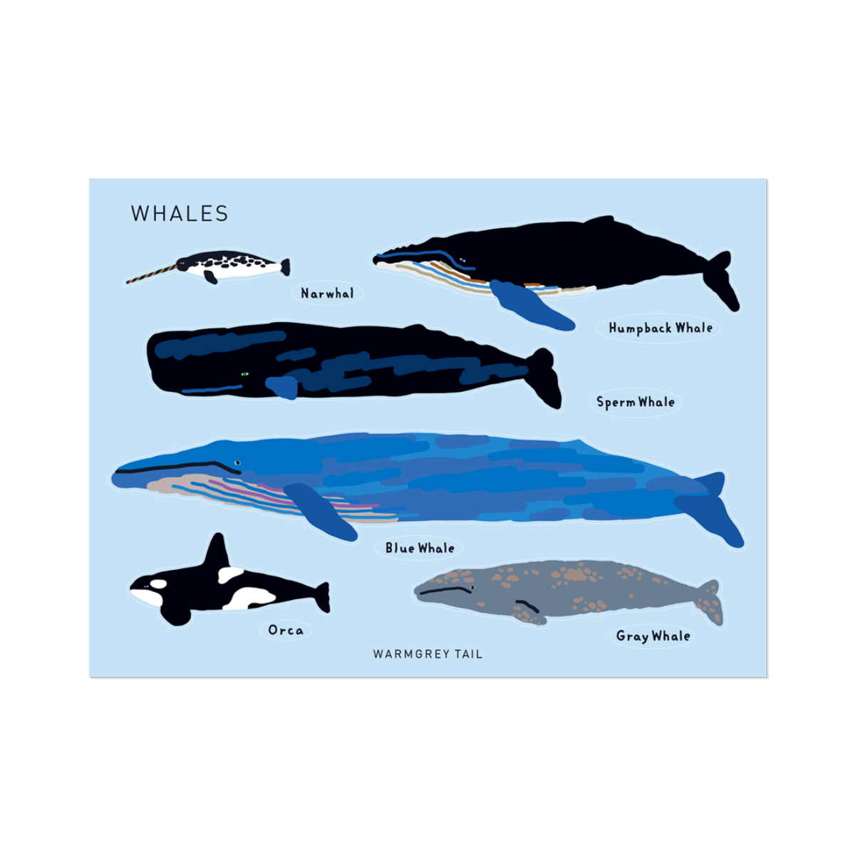 WHALES STICKER